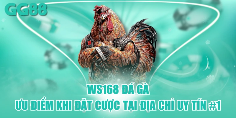 ws168